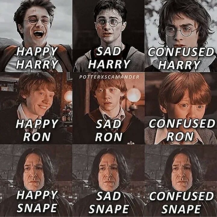 Harry Ron and Snape-Stumbit Memes